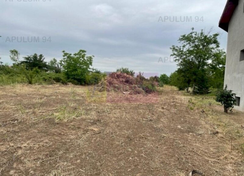 Teren Domnesti- Mega Image.