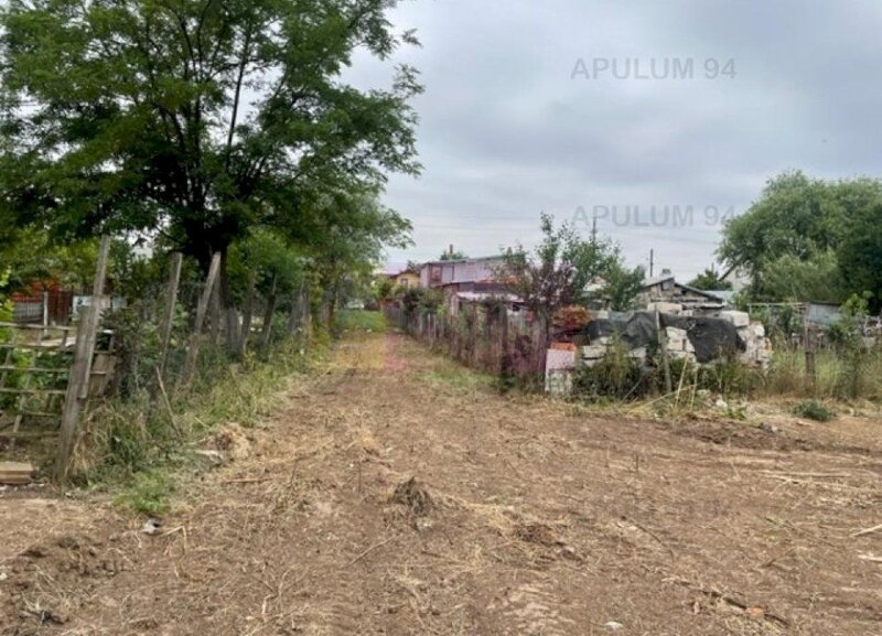 Teren Domnesti- Mega Image.